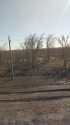 IMG_20170311_114503.jpg