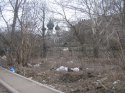 IMG_3540.jpg