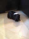 2017-03-19 14-42-45.jpg
