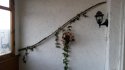 20170402_175620.jpg