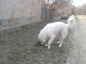 20170404_080644.jpg
