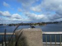 DSCN0629.JPG