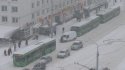 вит.JPG