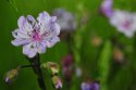 DSC_7754.jpg