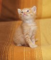 DSC03779.jpg