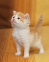DSC03777.jpg
