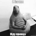 2017-06-13-21-44-08--1130506100.jpeg