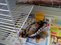 20170620_105121.jpg