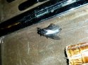 20170622_000051.jpg