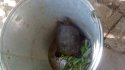 IMG_20170706_151731.jpg