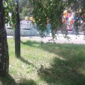20170710_093124-1.jpg