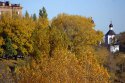 crw_9751.jpg