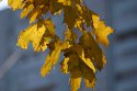 crw_9458.jpg