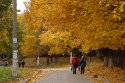 crw_9491.jpg