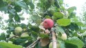 IMG_20170723_124346.jpg