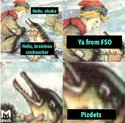 index.jpg