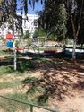 IMG_20170815_131441.jpg