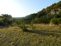 DSCN3821.JPG