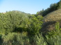 DSCN3828.JPG