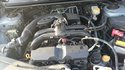 DSC_1784.JPG