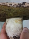 20171014_202614.jpg