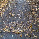 20171029_110000.jpg