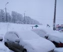 2018-01-31 08-35-52.JPG
