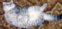 cat.jpg