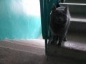 IMG_20180212_100815.jpg