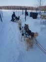 20180224_161228.jpg