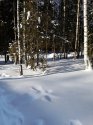 20180224_103643.jpg