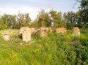 IMG_20150531_064520.jpg