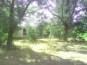 IMG_20140816_130338.jpg