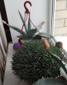 2018-03-21 11-39-21.JPG