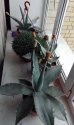 2018-03-21 11-39-09.JPG