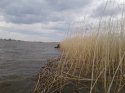 20180422_101504.jpg