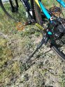IMG_20180515_152611.jpg