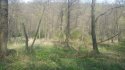 20180505_151821.jpg
