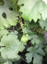 image%3A131108.jpg