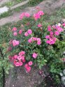 image%3A131121.jpg