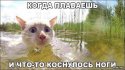 IMG_20180624_214233.jpg