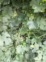 image%3A140127.jpg