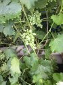 image%3A140122.jpg