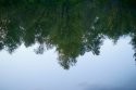 DSC01891.JPG