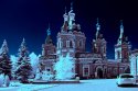 IMG_9037.JPG