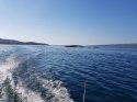 20180719_172504.jpg