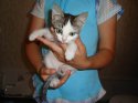 Resize of DSC00153.JPG