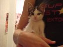 Resize of DSC00018.JPG