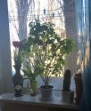 2018-03-11 14.09.00.JPG