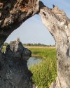 IMG_20180902_140017_244.jpg